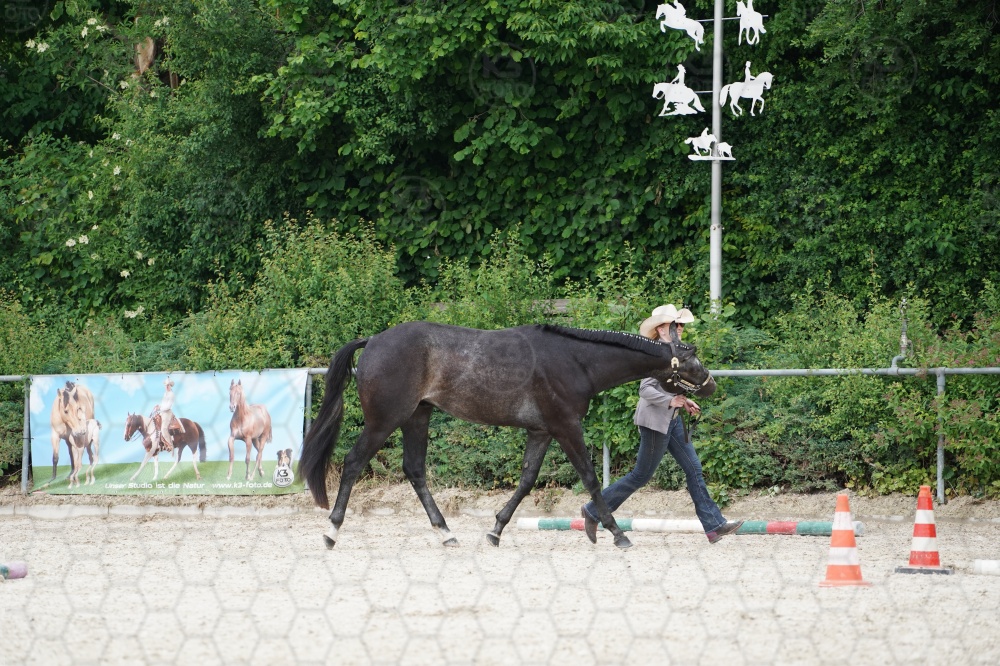 s_A9_06604.jpg